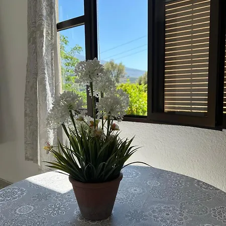 La Despensa Del Valle Restabal