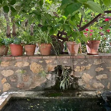 La Despensa Del Valle 2* Restabal
