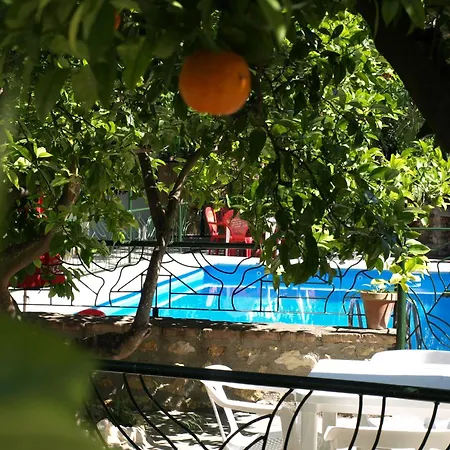 La Despensa Del Valle