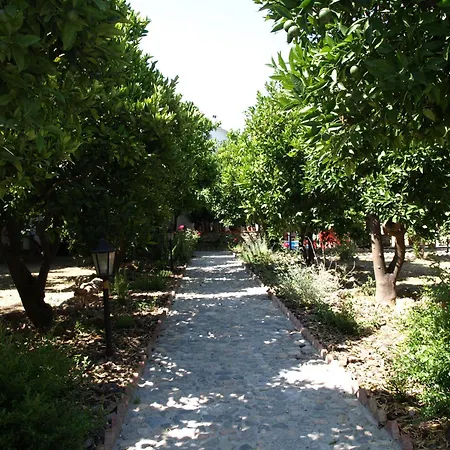 La Despensa Del Valle