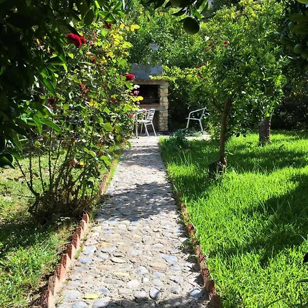 La Despensa Del Valle